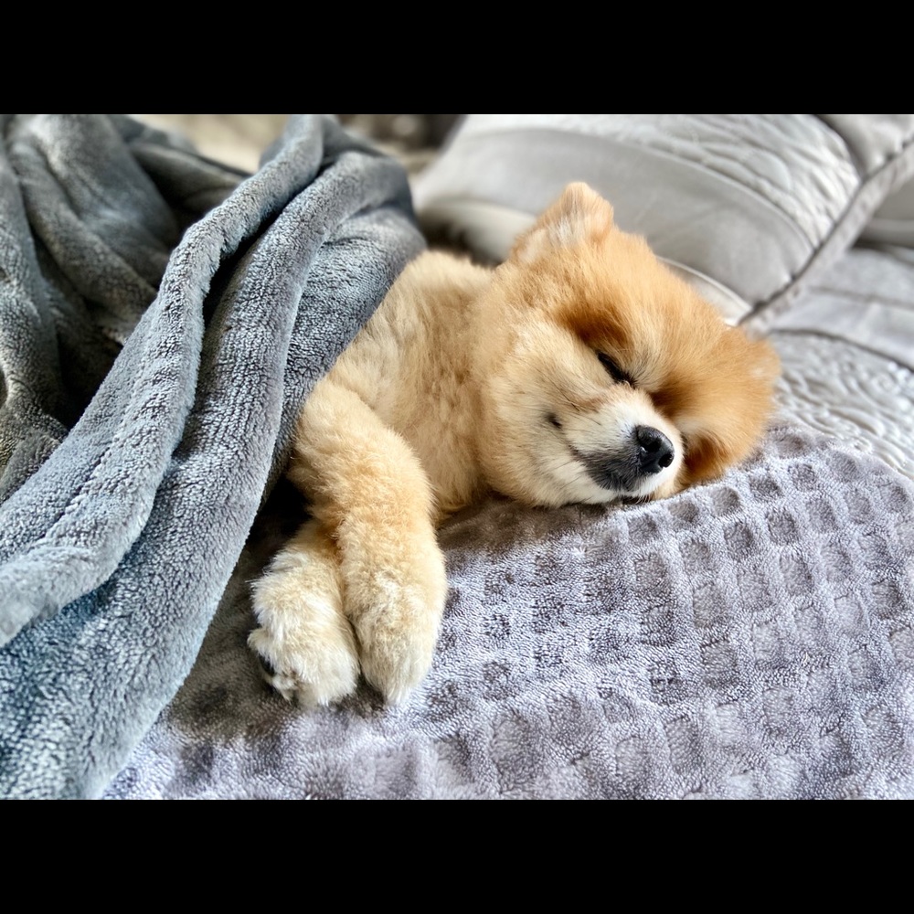 Meet your Posher, Kim